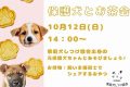 a保護犬とお茶会