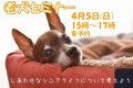2026老犬セミナー縮専済み