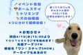 aラジオ宣伝無期限で載せる縮専済み