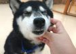 ｆ (125)