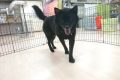 DSC_0930
