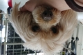 g (22)