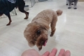 l (97)