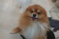 ｌ (31)