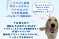 aラジオ宣伝無期限で載せる縮専済み