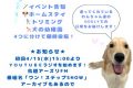 aラジオ宣伝無期限で載せる縮専済み