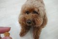 d (7)
