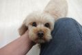 h (157)