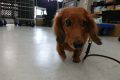 e (31)