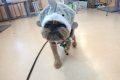 f (70)