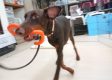 g (19)