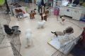 z (3)